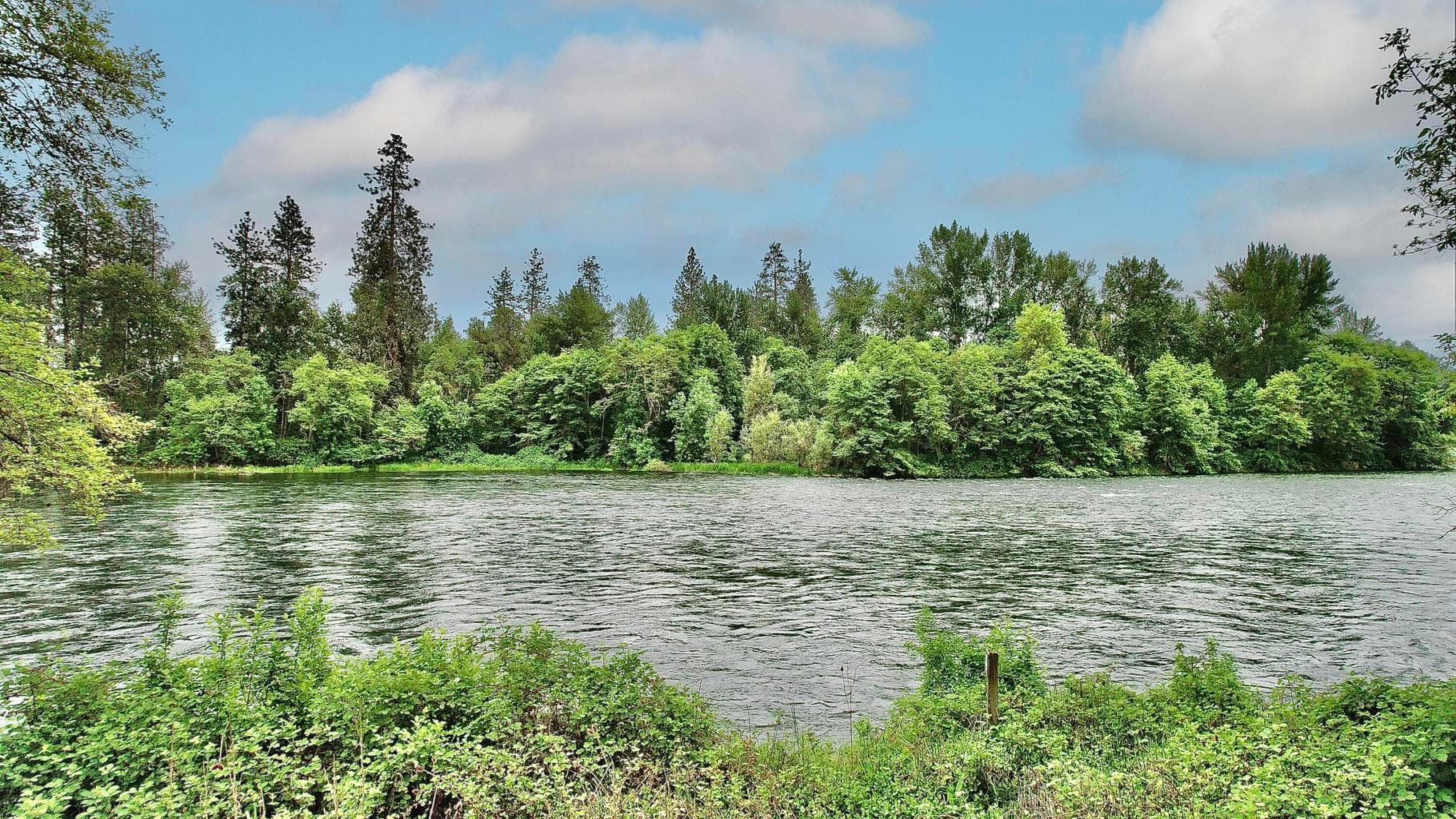 Rogue River frontage, front yard view