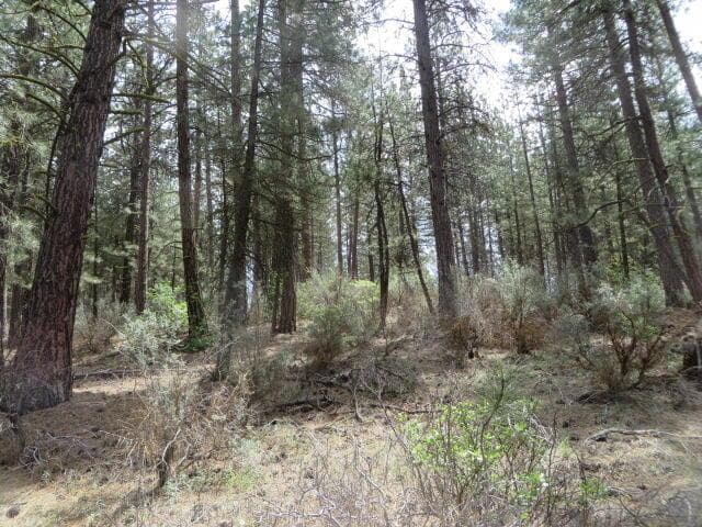 Nice to see all the green this year!!