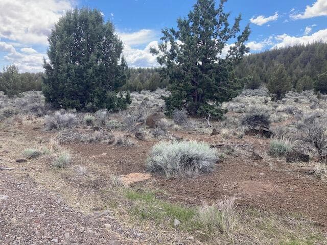 Lot 100 Hwy 31, Silver Lake, 97638