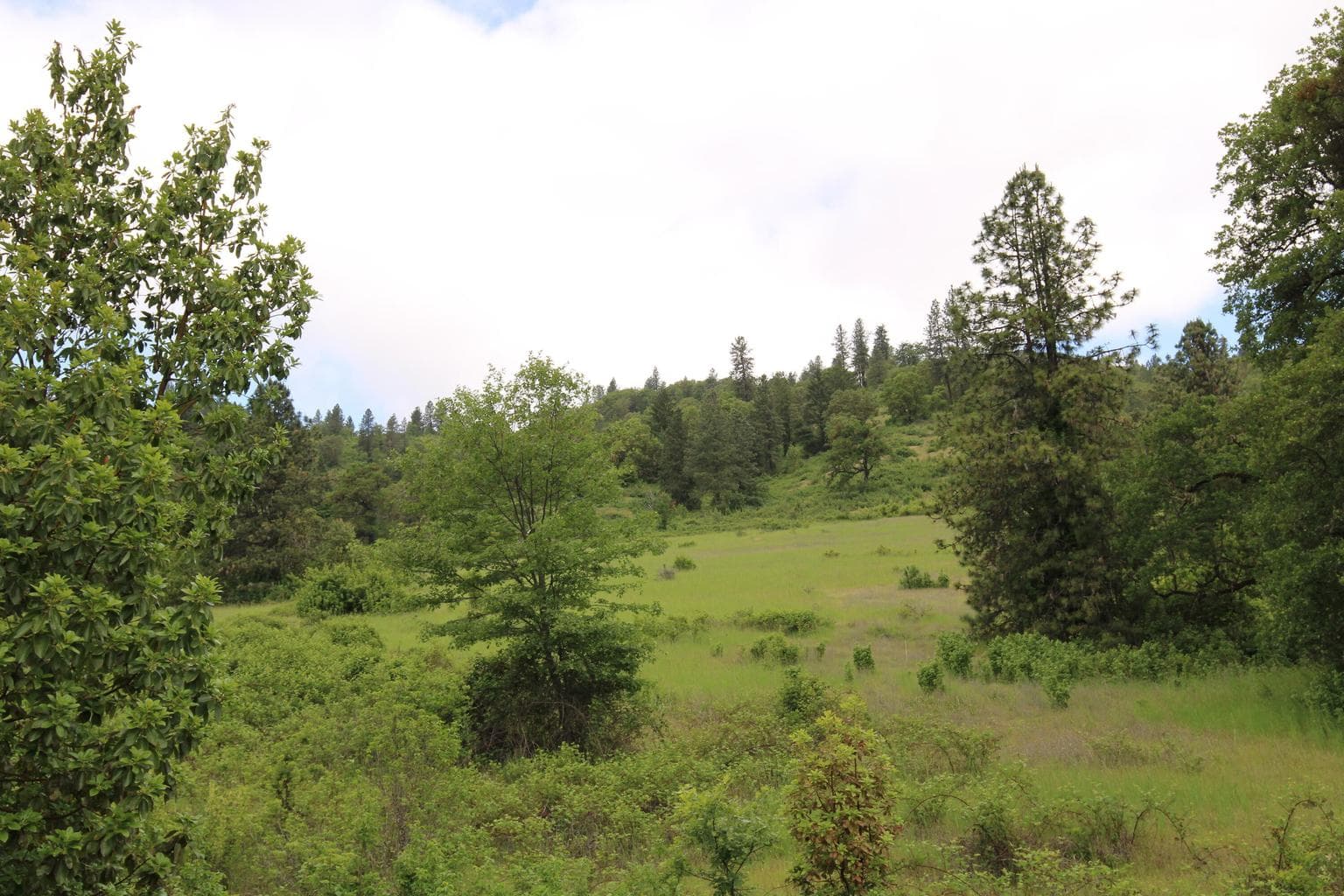 Photo of Cow Creek 5 of 24