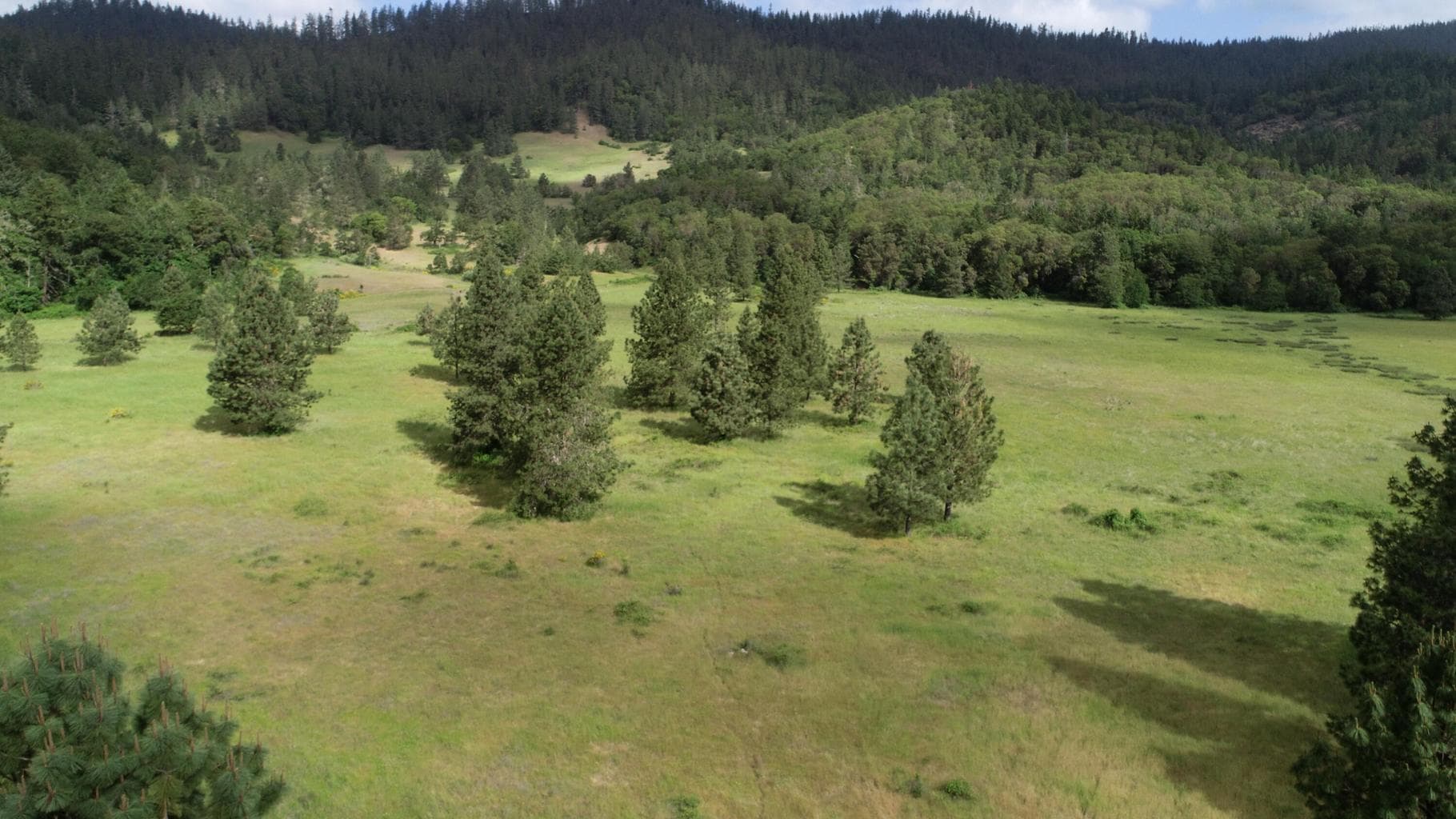 Photo of Cow Creek 4 of 24