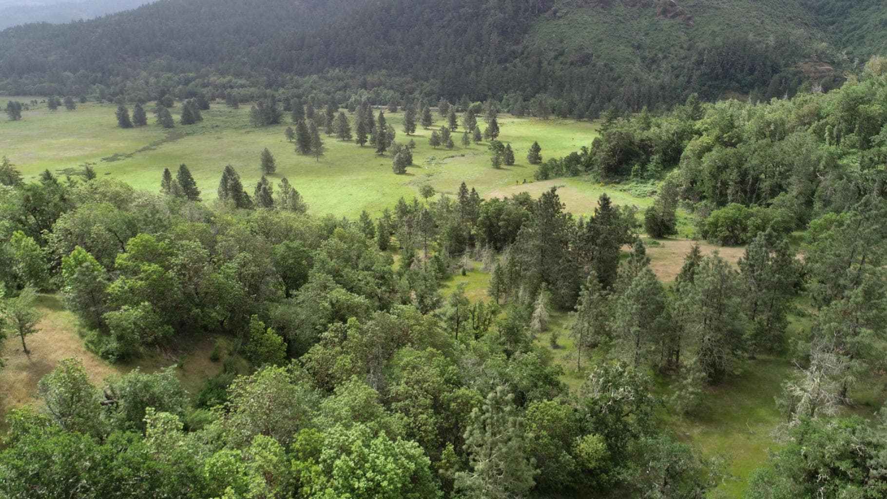 Photo of Cow Creek 3 of 24