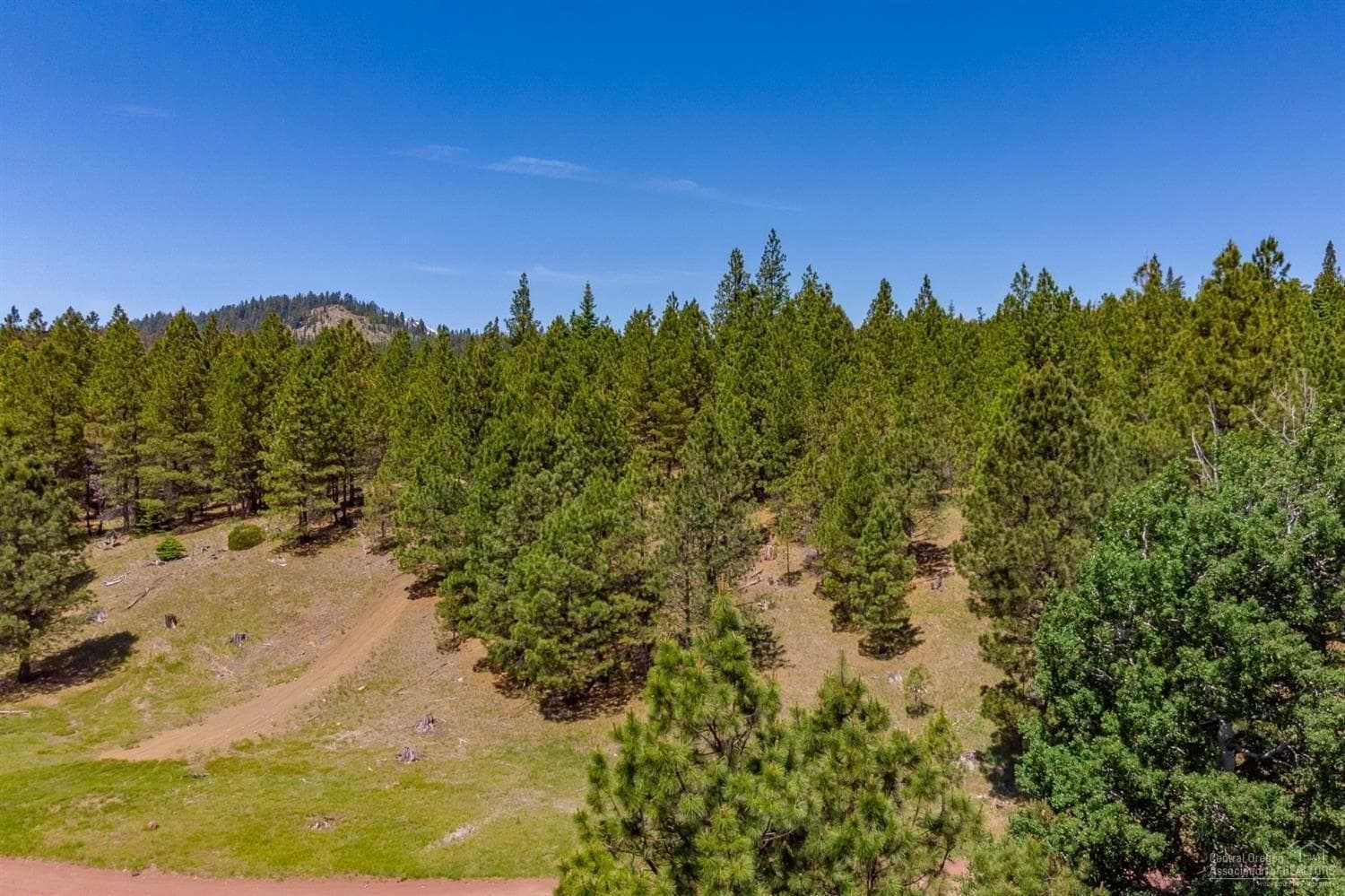 Photo of Lot-500 Forest Service 5 of 19