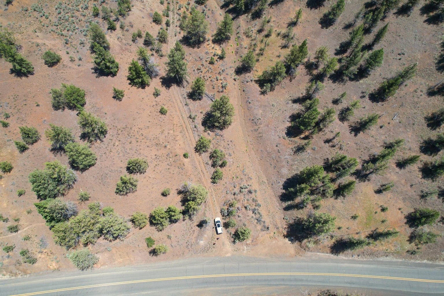 Photo of Hwy 19 3 of 15