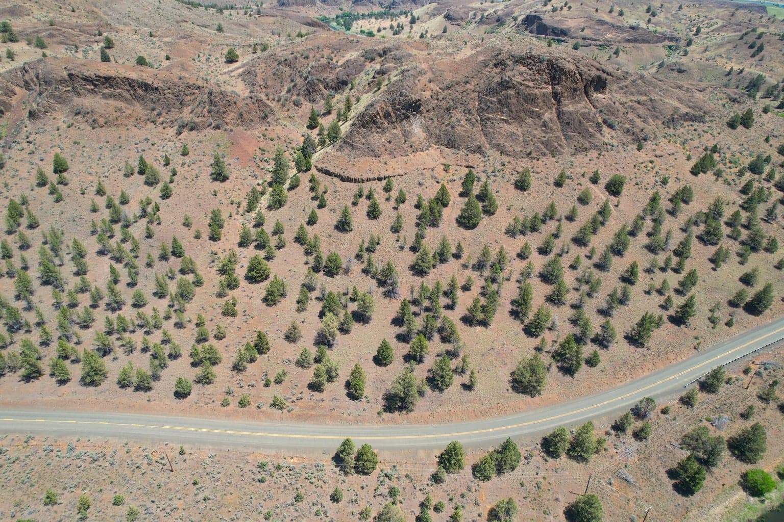 Photo of Hwy 19 4 of 15