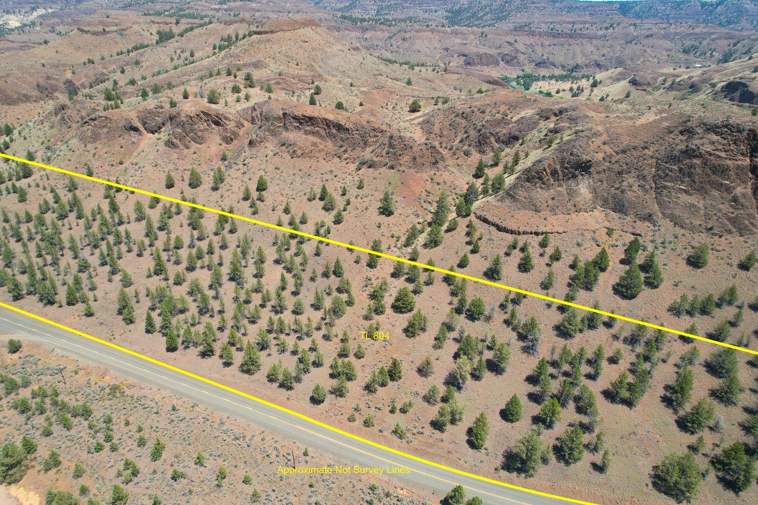 Photo of Hwy 19 2 of 15