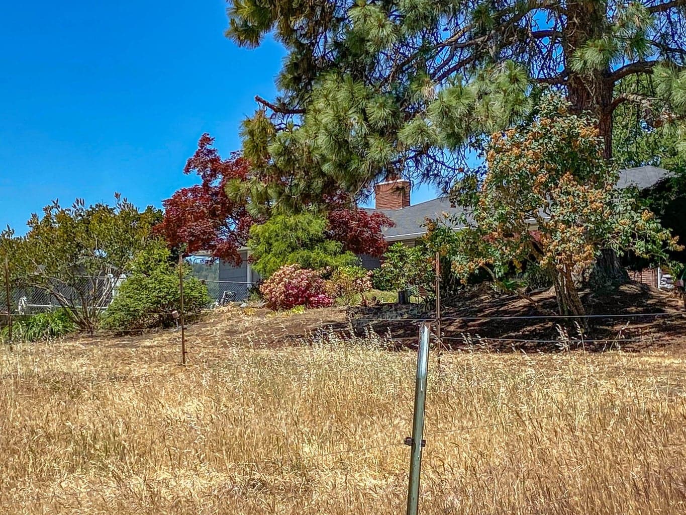 Photo of 8017 Old Highway 99 North 5 of 48