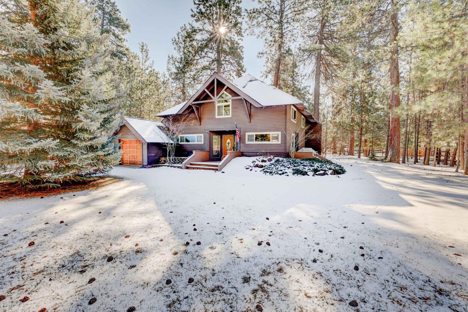Photo of 14973 Buggy Whip 42 of 47