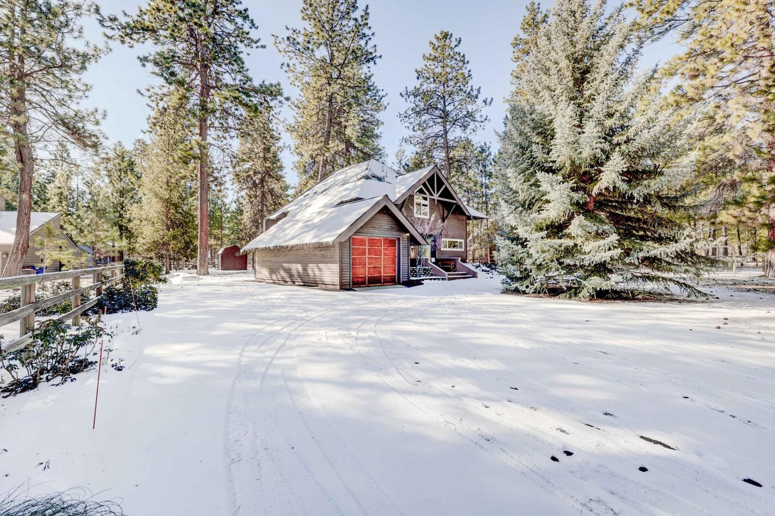 Photo of 14973 Buggy Whip 41 of 47