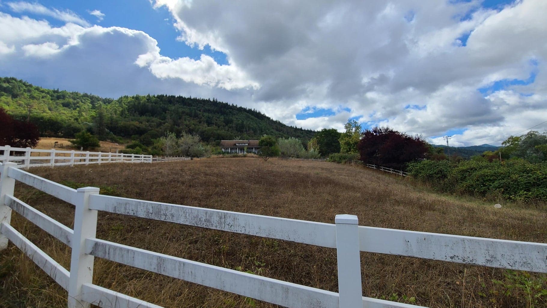 Photo of 754 Glenbrook Loop 3 of 20