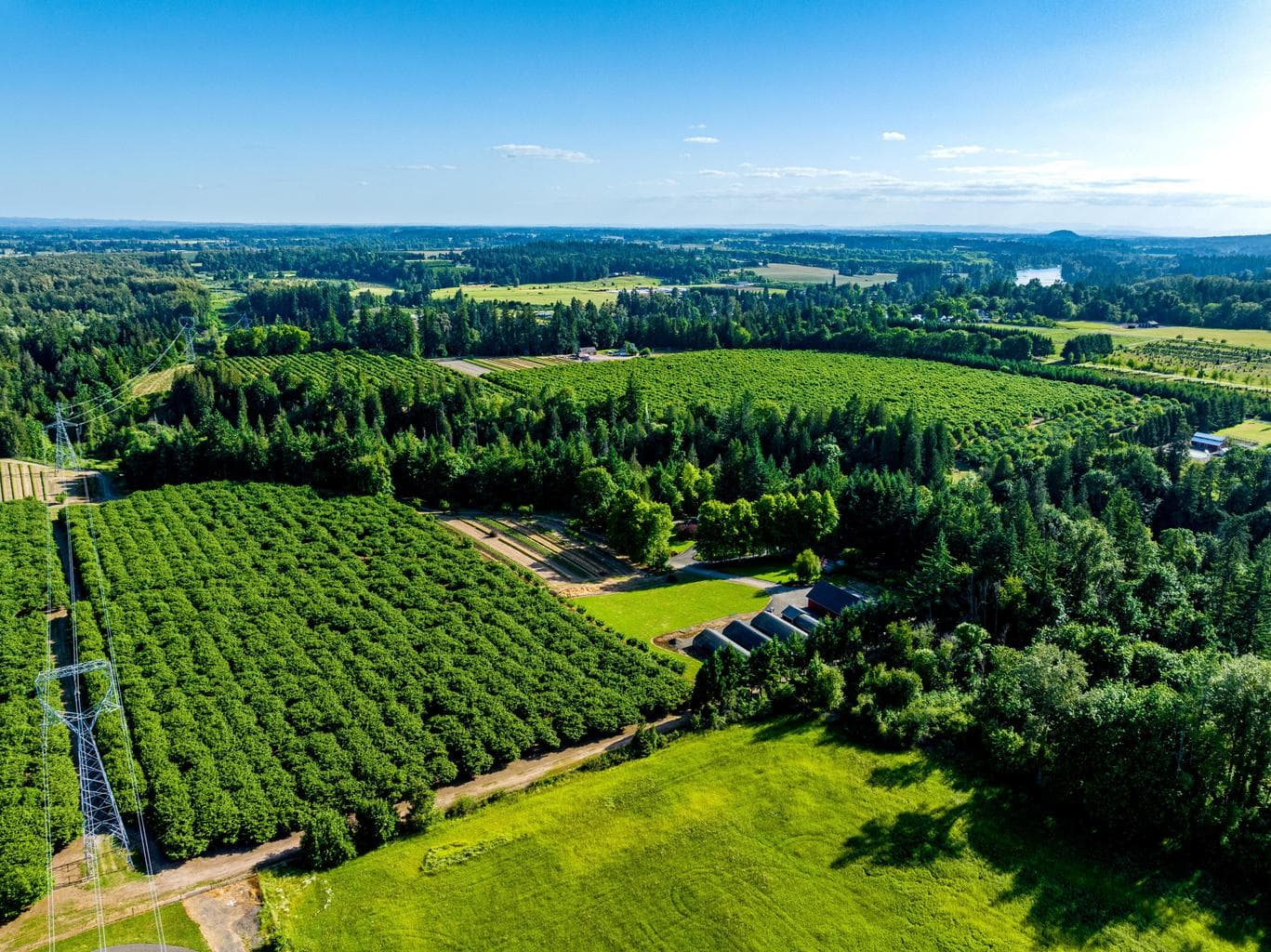 29250 Bruck, Wilsonville, 97070