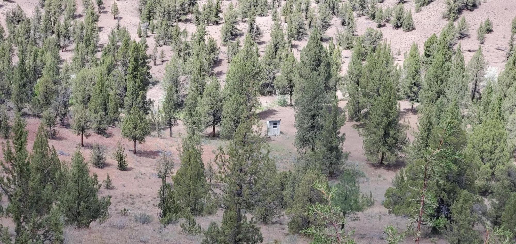 Photo of TL 802 Doubtful Dirt 2 of 4