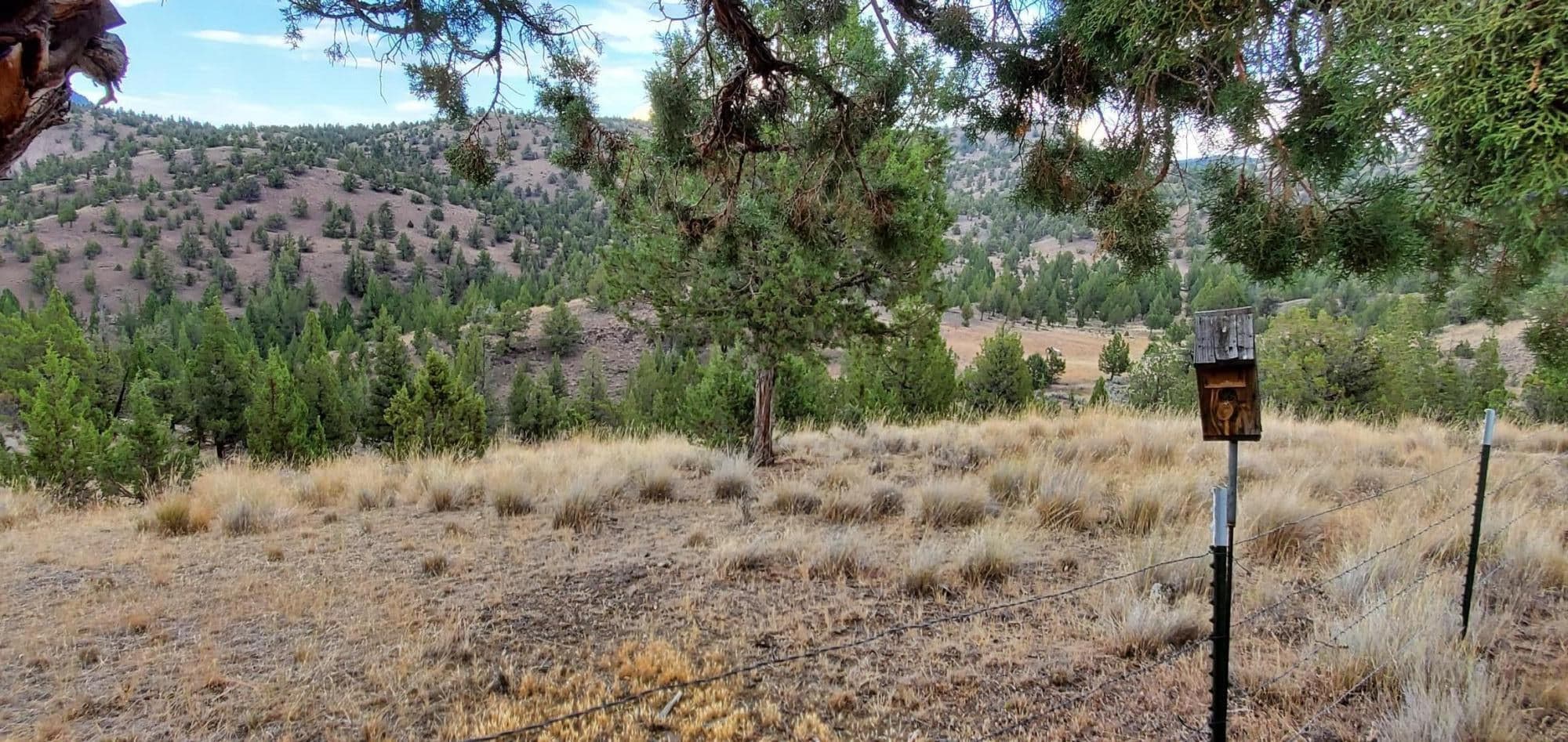Photo of TL 802 Doubtful Dirt 3 of 4