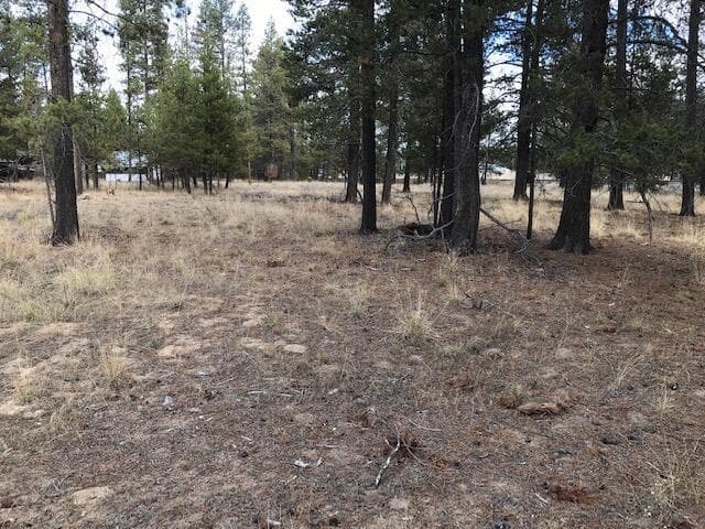 Photo of 52720 Murry 4 of 8