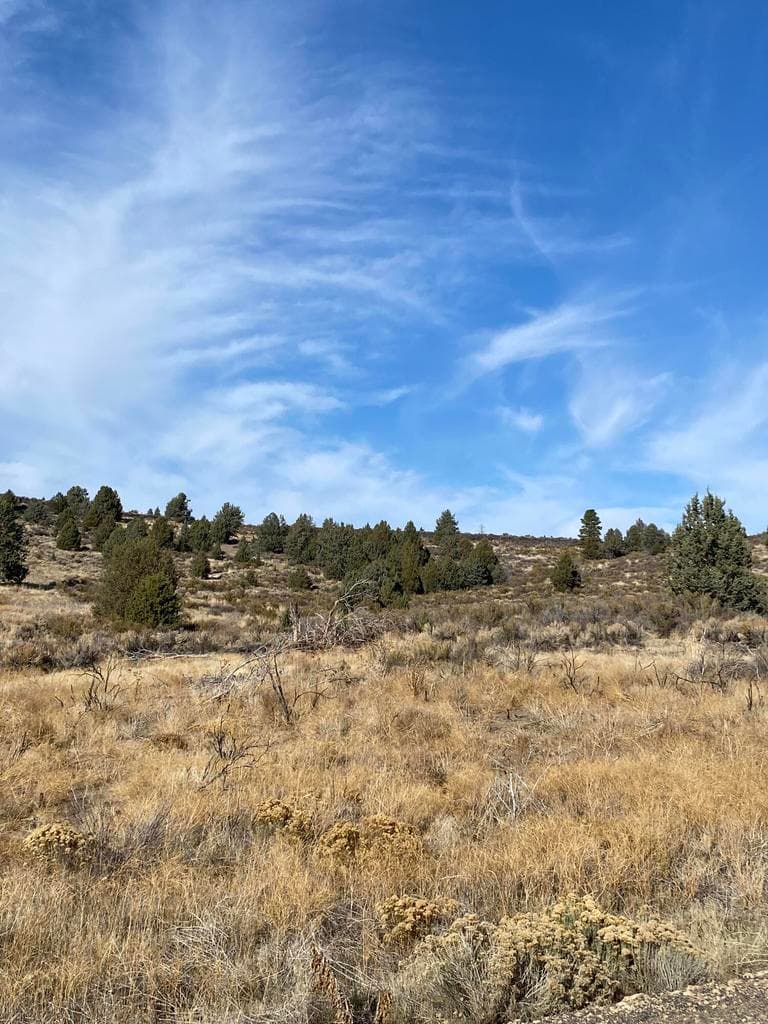 NKA Curry, Sprague River, 97639