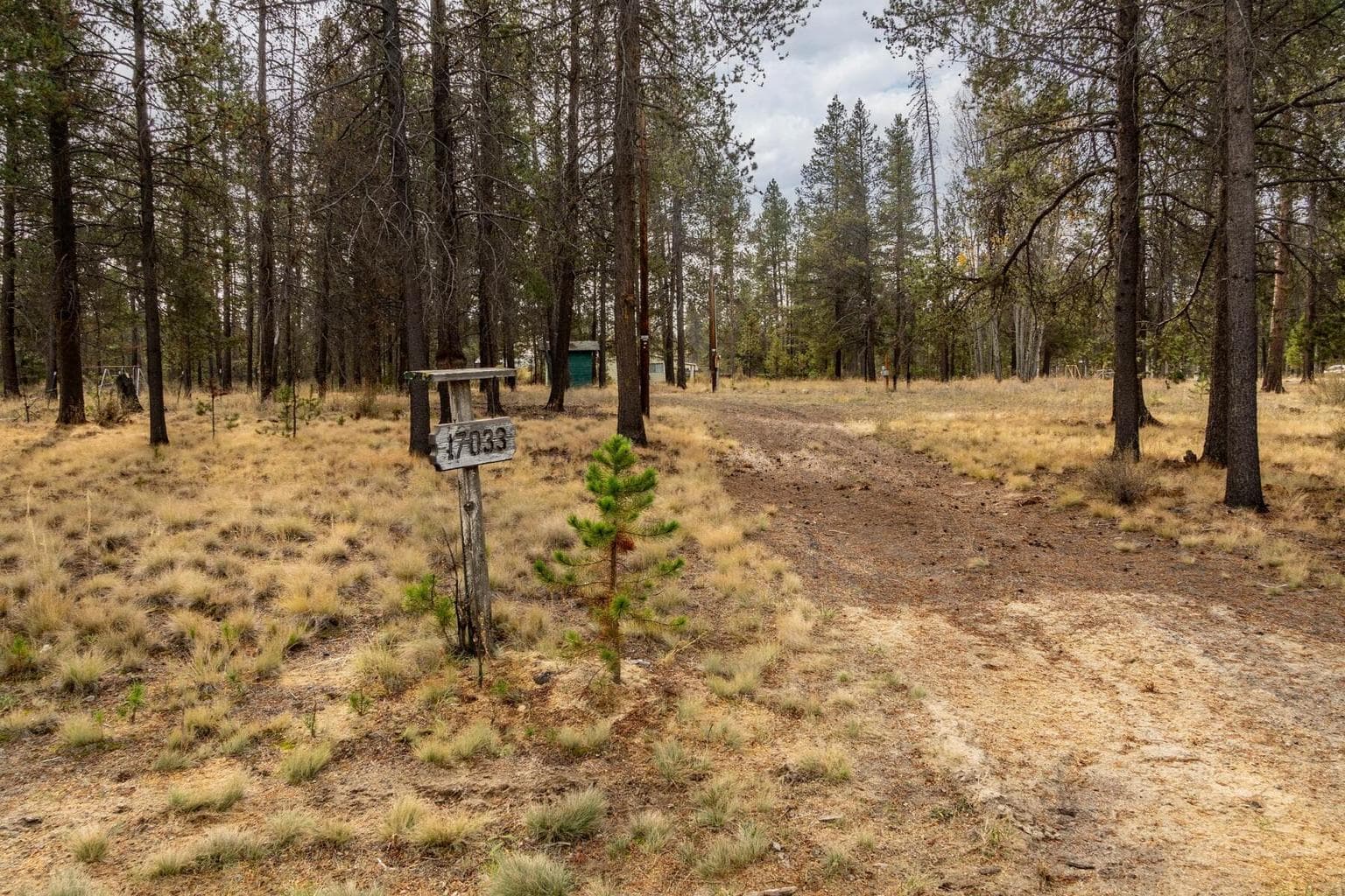 Photo of 17033 Cagle Road 1 of 19