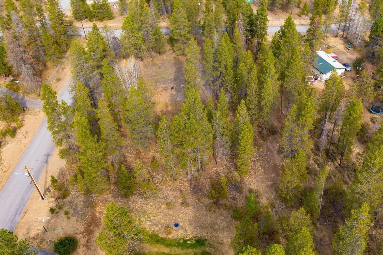 Photo of 17033 Cagle Road 4 of 19