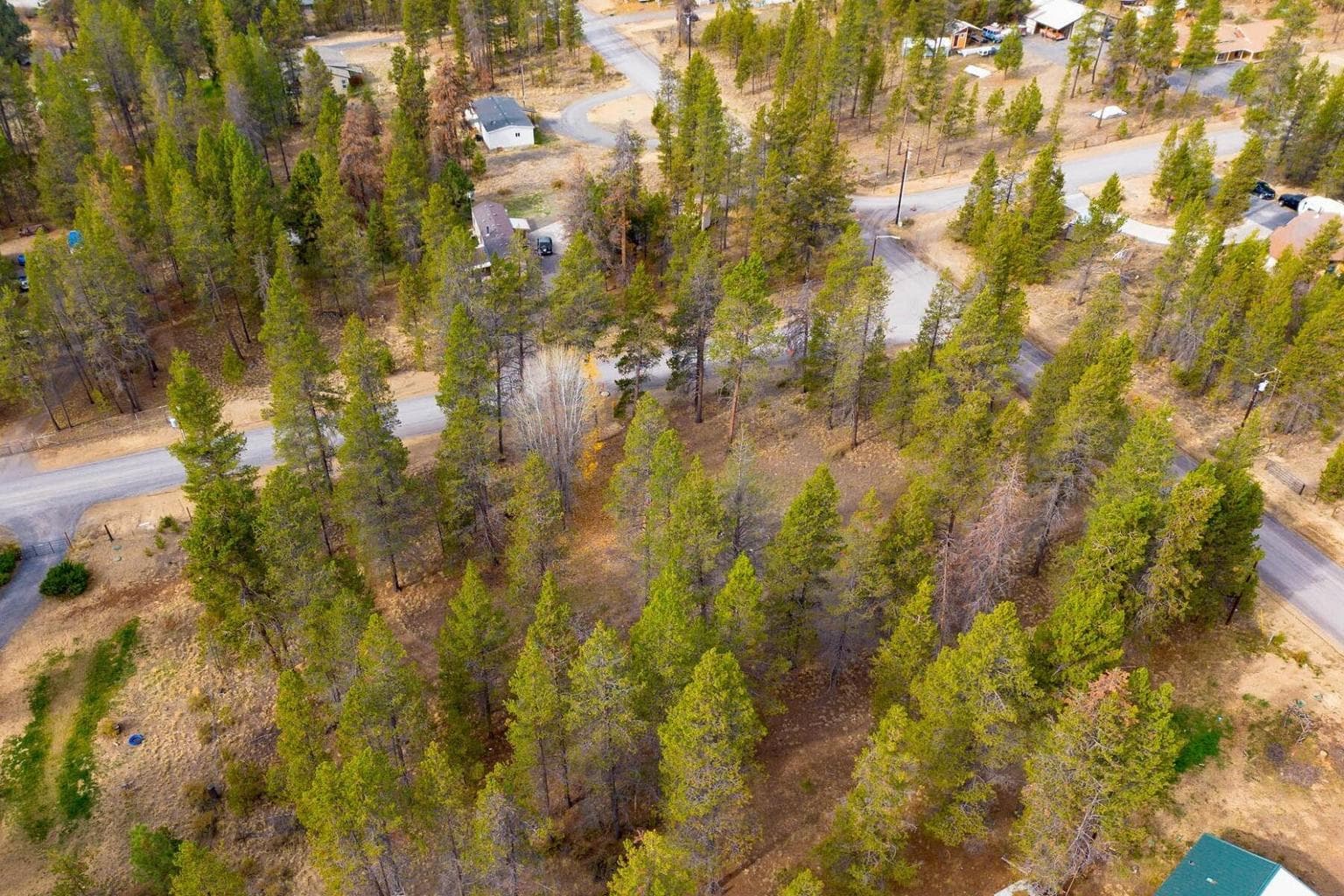 Photo of 17033 Cagle Road 5 of 19