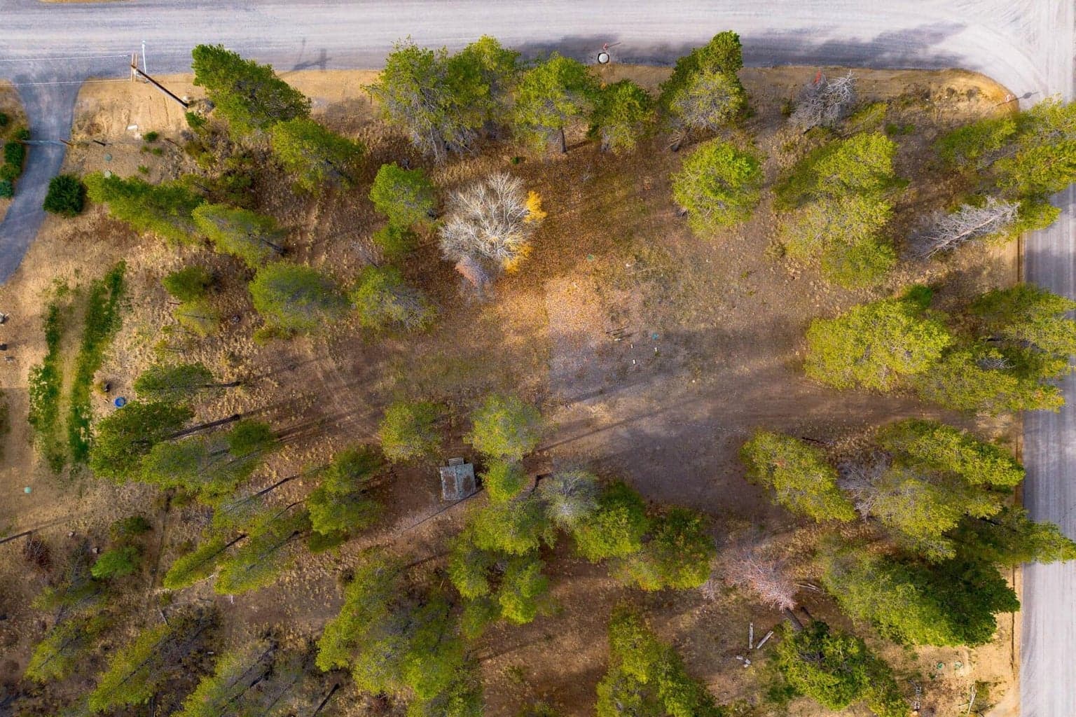 Photo of 17033 Cagle Road 7 of 19