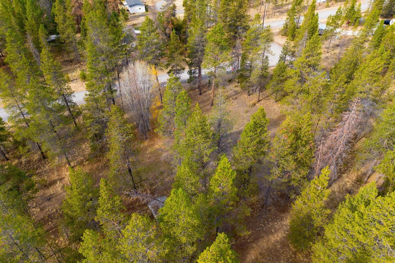 Photo of 17033 Cagle Road 9 of 19