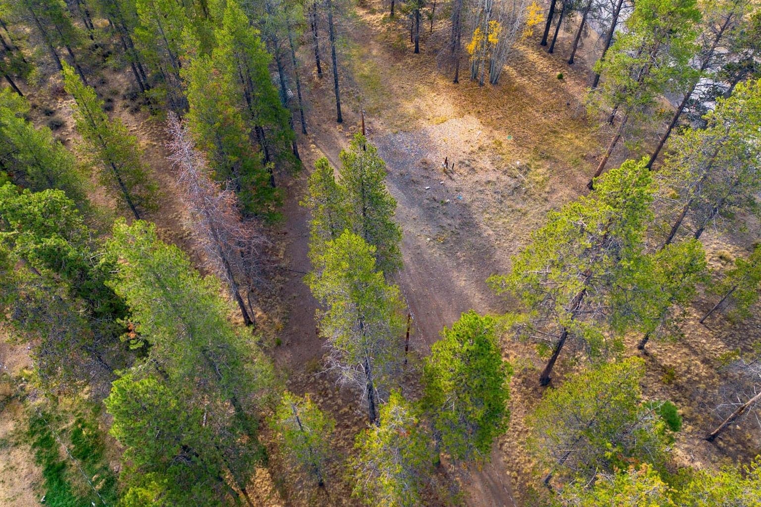 Photo of 17033 Cagle Road 11 of 19