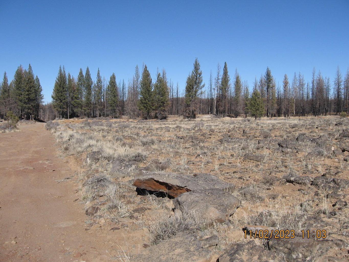Lot 16N Shasta Fir Way, Bly, 97622