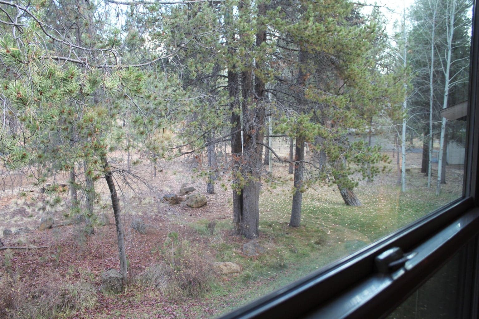 Photo of 57385 Beaver Ridge Loop 13 of 21