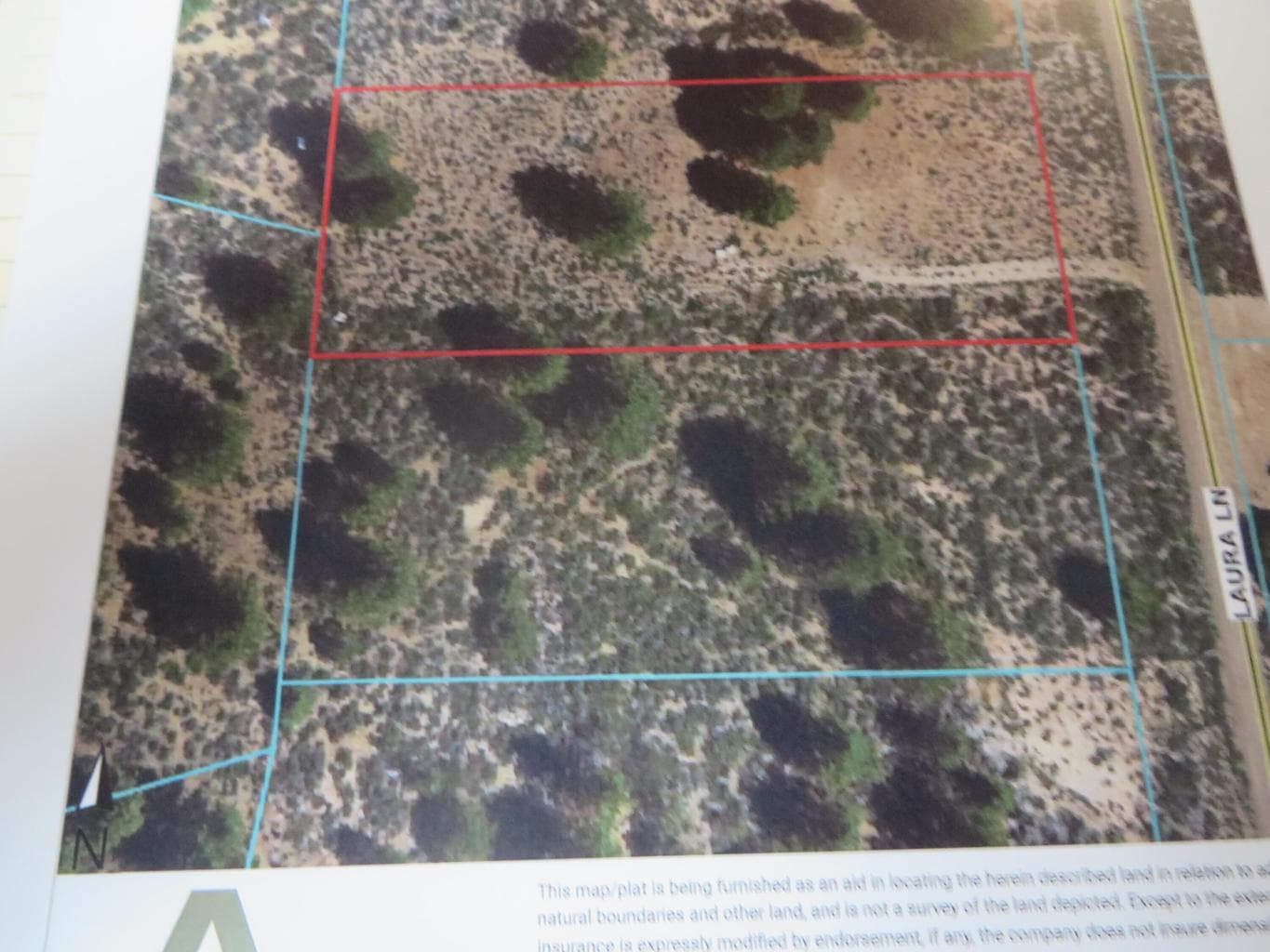 Photo of Bl 3 L 10 Laura 3 of 7