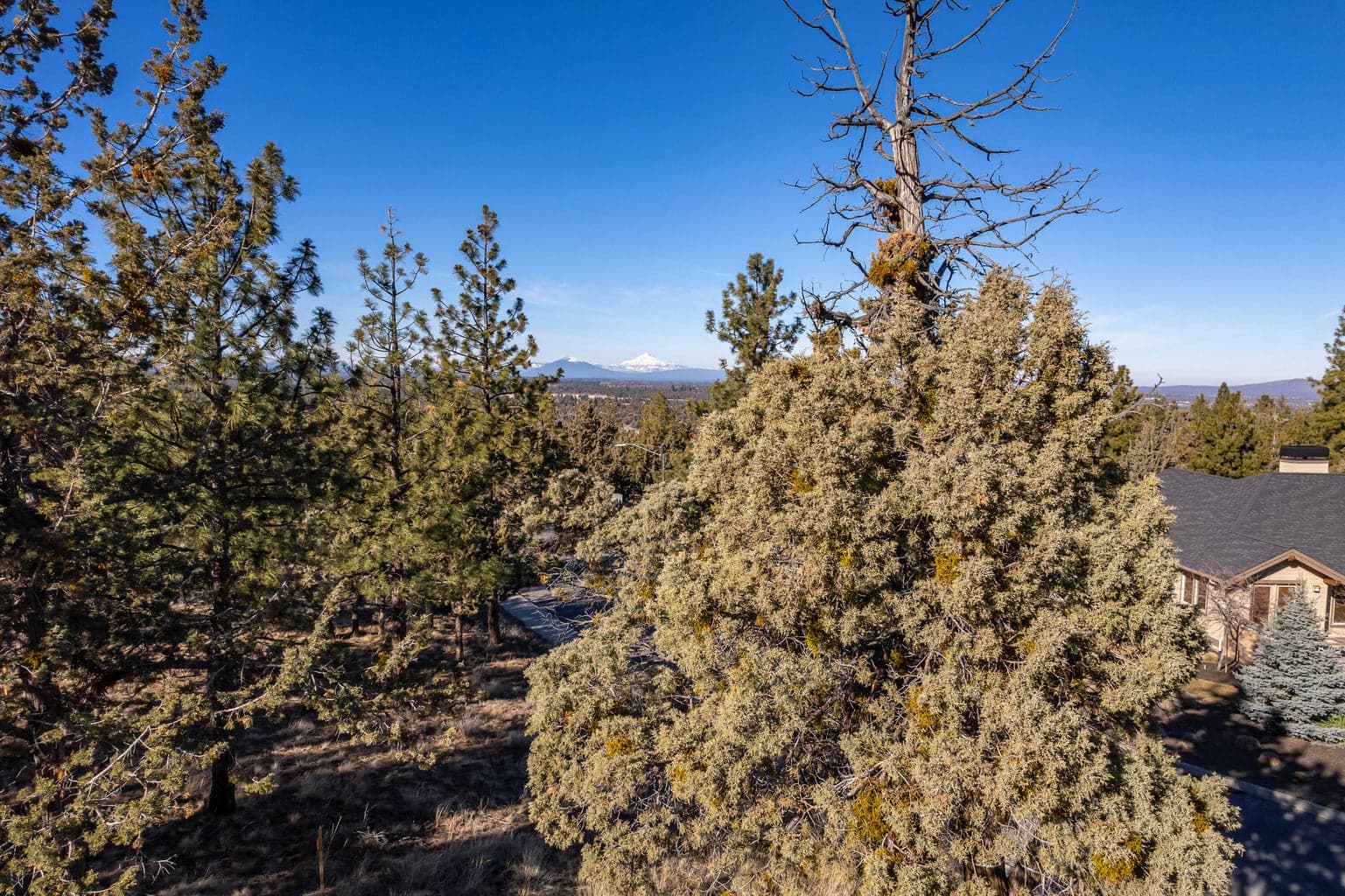 Photo of 3399 NW Starview Drive 10 of 19