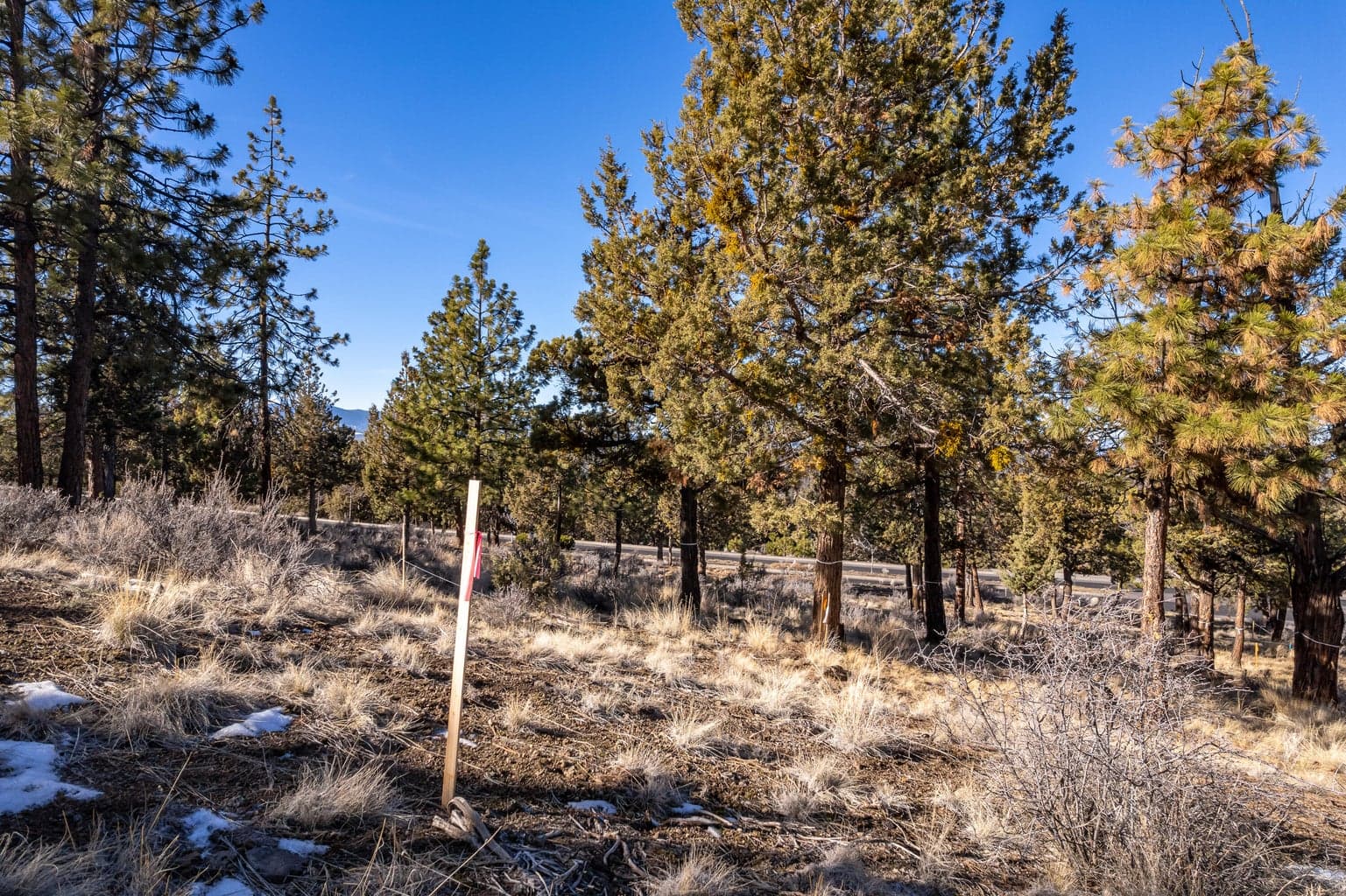 Photo of 3399 NW Starview Drive 13 of 19