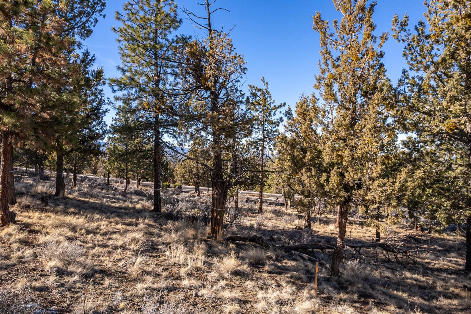 Photo of 3399 NW Starview Drive 14 of 19