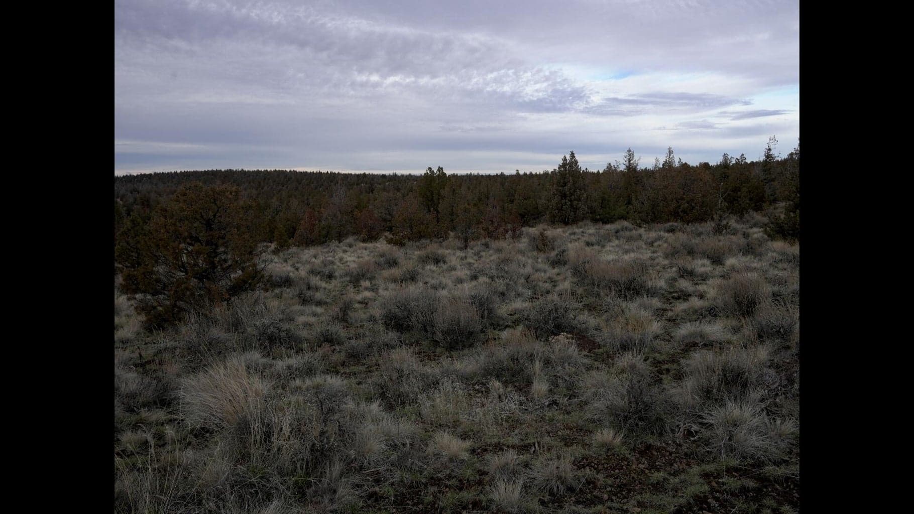 Photo of TL 600 Cougar Court 6 of 14