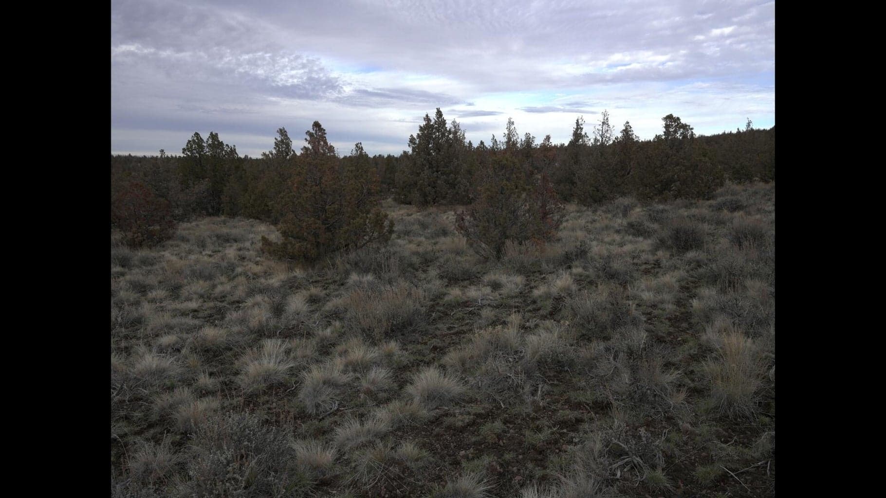 Photo of TL 600 Cougar Court 9 of 14