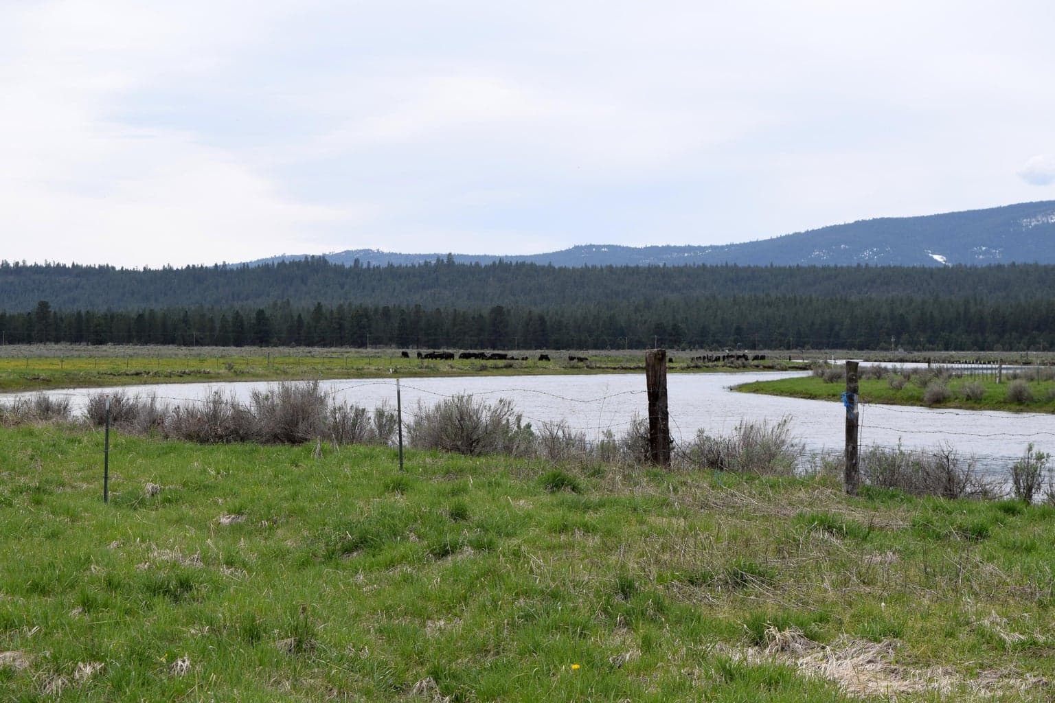 Photo of Easement off Skeen Ranch 1 of 26