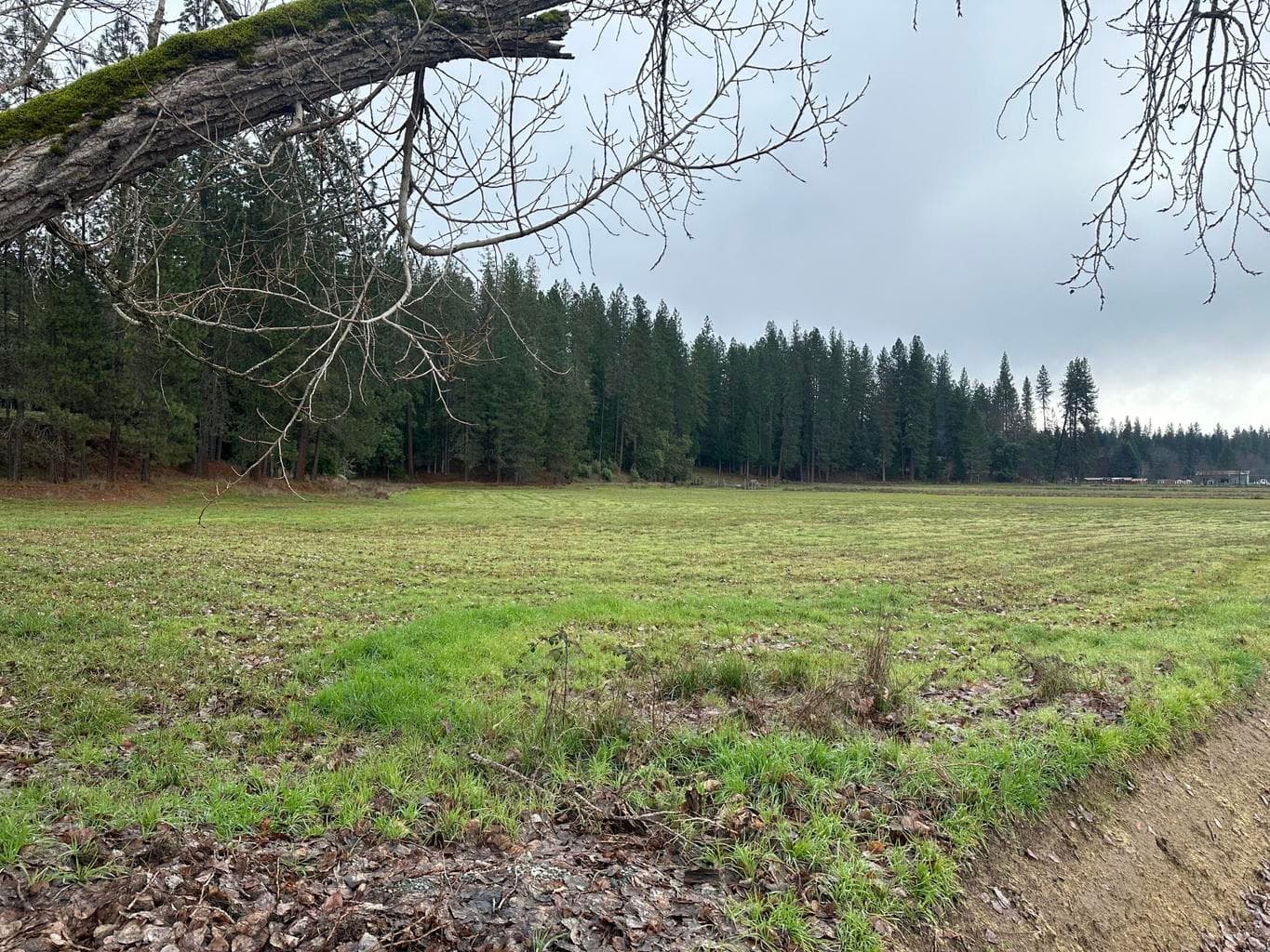 Evans Cr, Rogue River, 97537