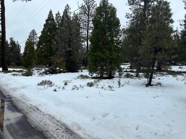 Lot47 Meadow Lark, Bonanza, 97623
