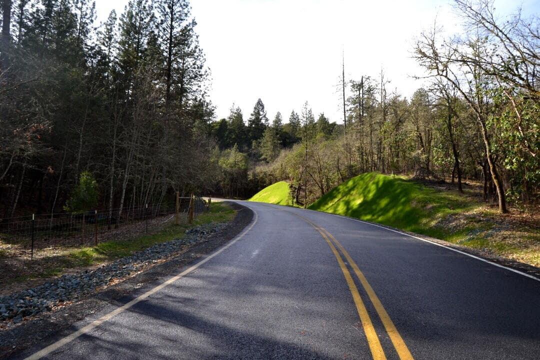 Photo of 2643 Sylvan 6 of 10