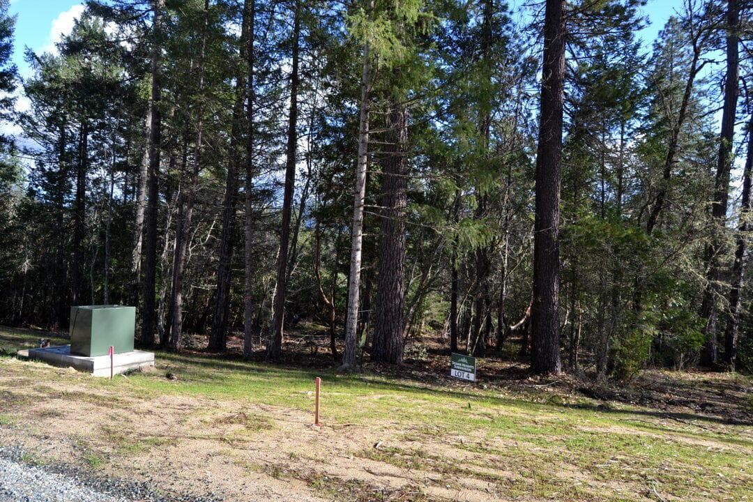 Photo of 2643 Sylvan 4 of 10