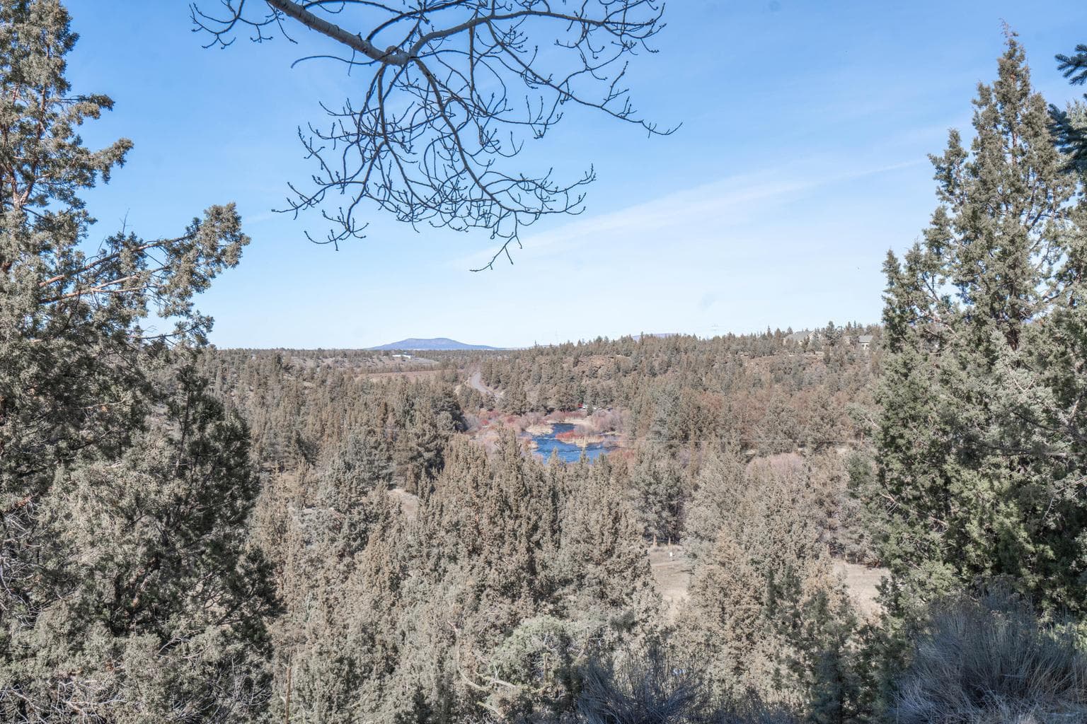 Photo of 7265 Falcon Crest Drive 88 of 111