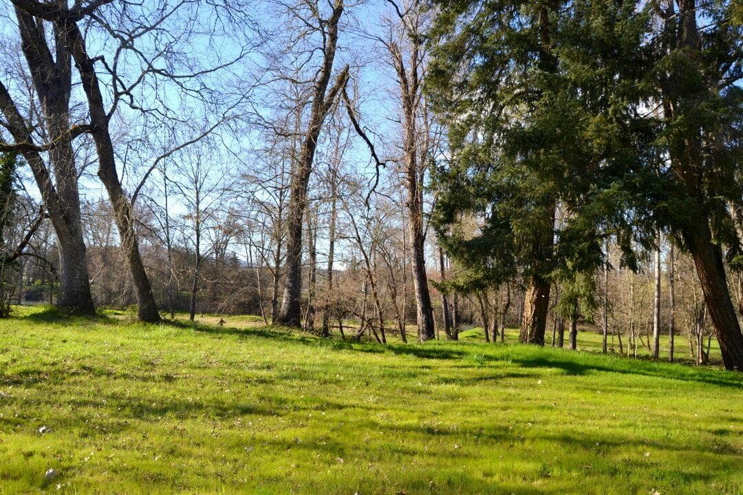Photo of Lot 2 Gerald 4 of 13