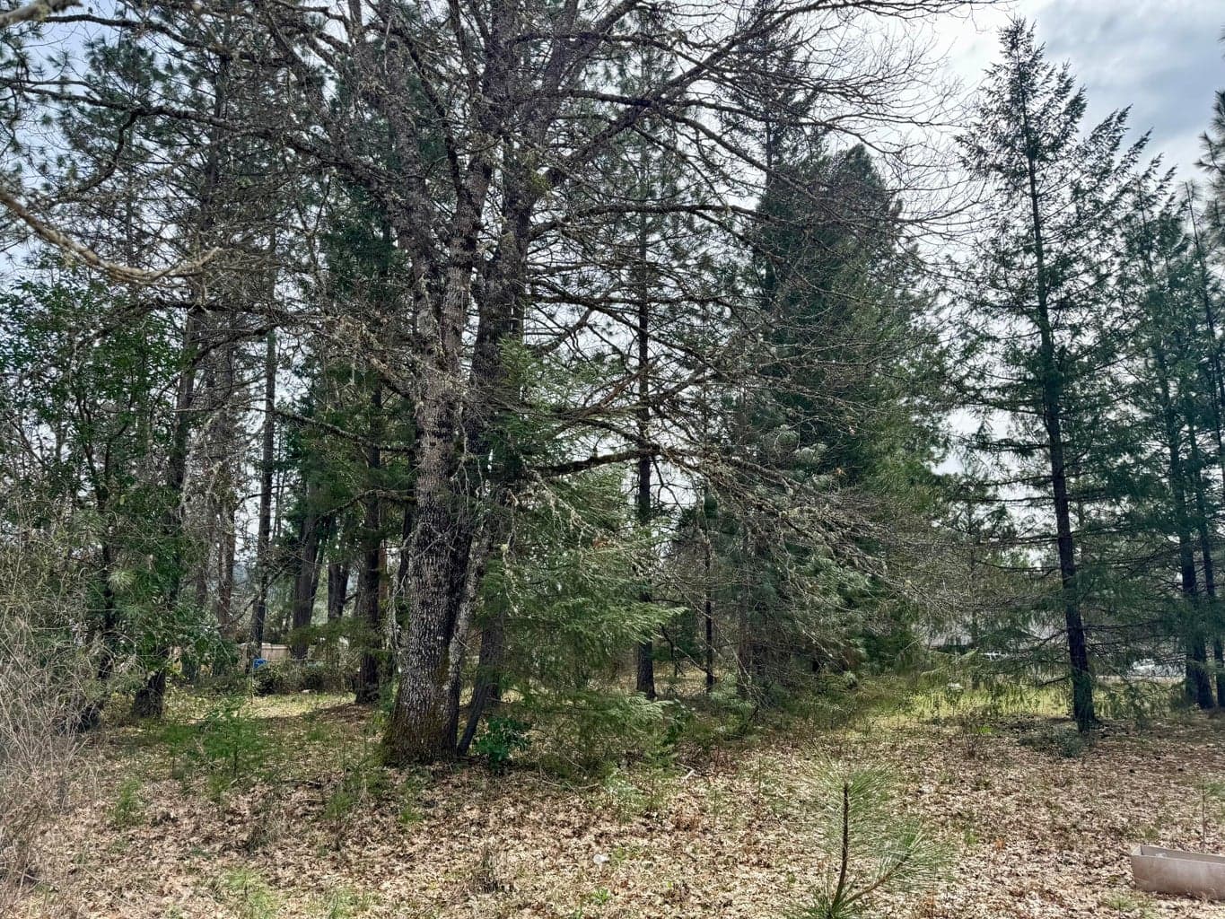 Photo of Old Stage 2 of 5
