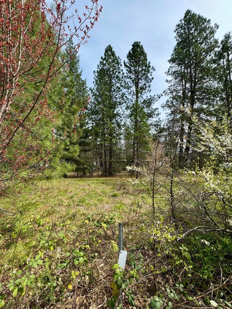 Photo of Old Stage 3 of 4