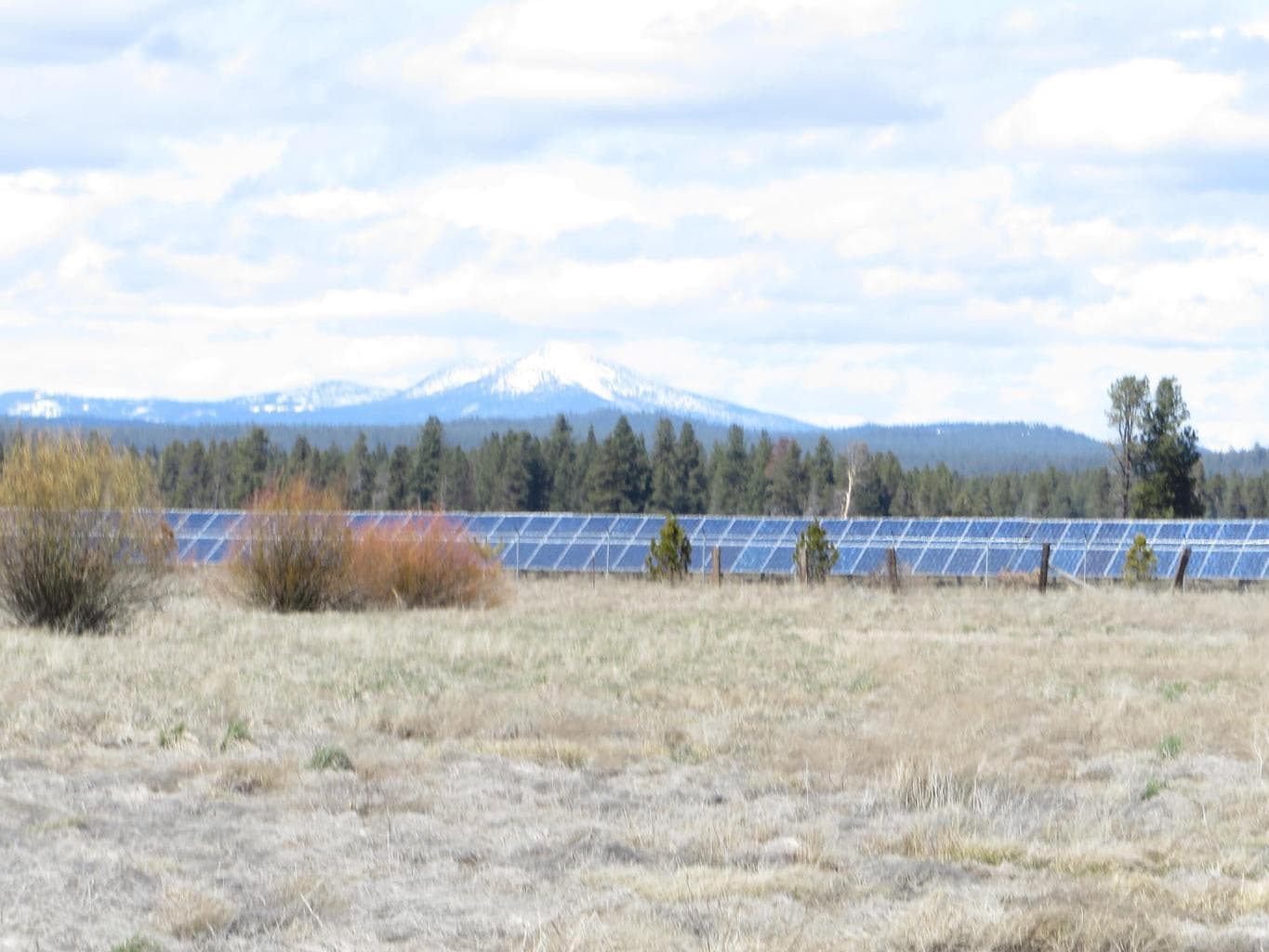 Actual lot with Mountains in the background