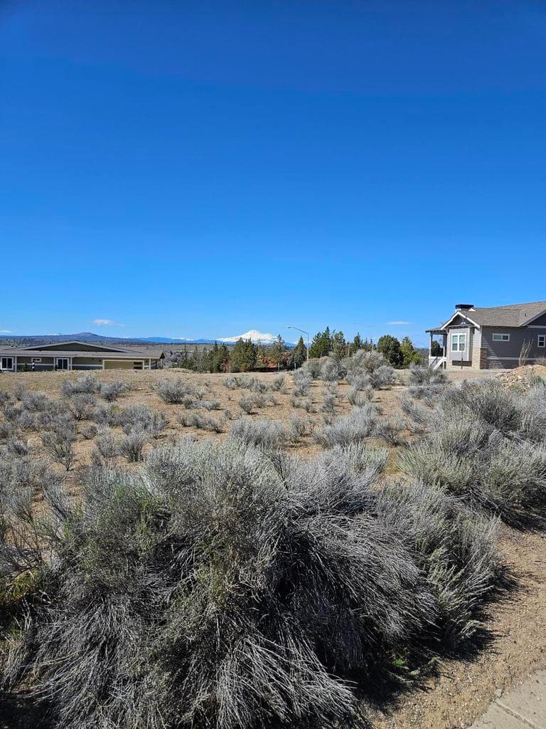 3500 Larkspur