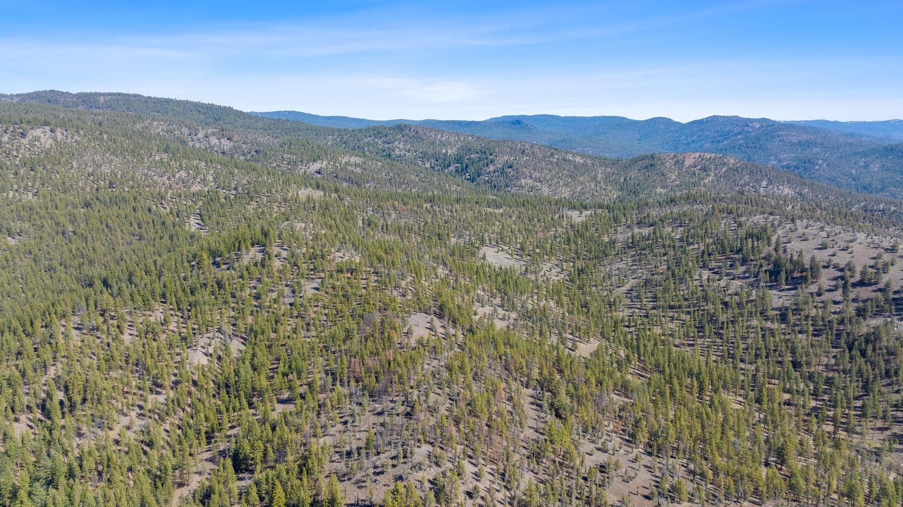 Photo of TBD Allen Creek 2 of 24