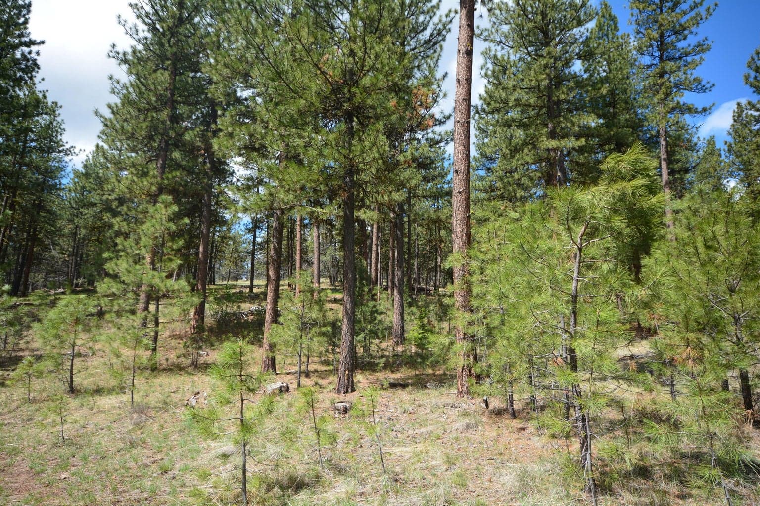 Photo of TBD Allen Creek 3 of 24