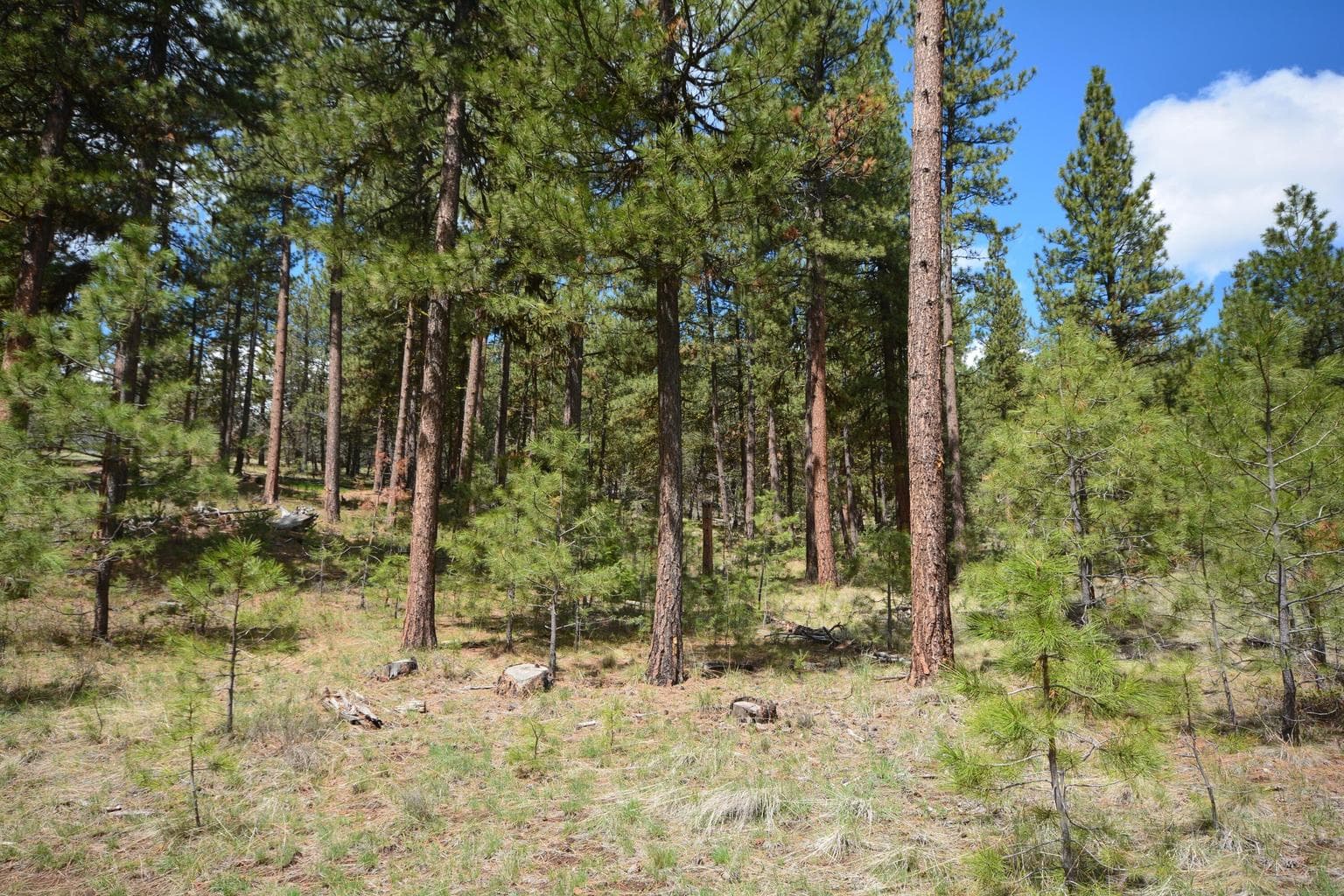 Photo of TBD Allen Creek 4 of 24