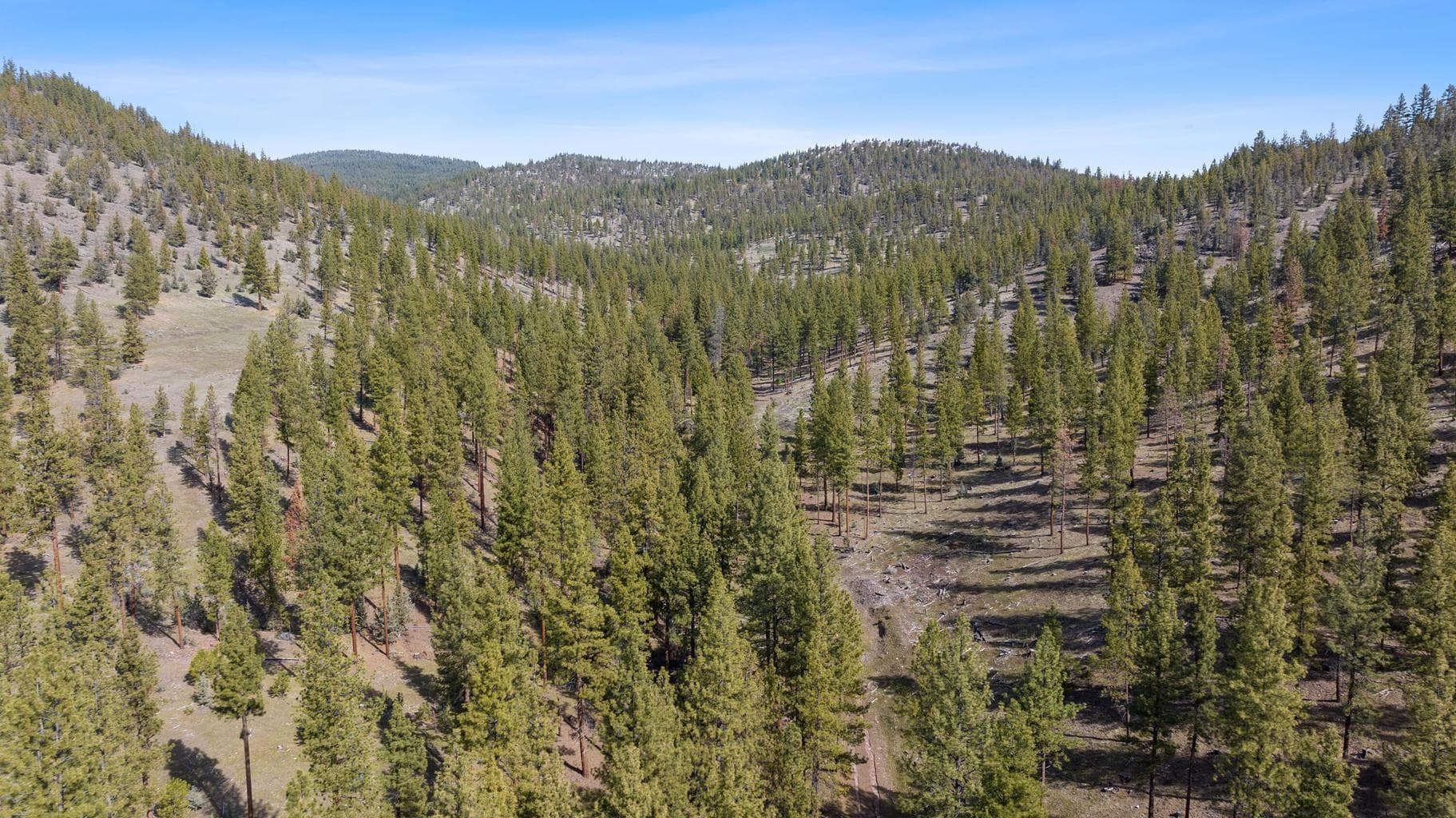 Photo of TBD Allen Creek 5 of 24