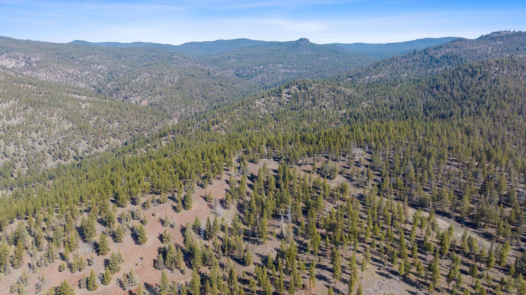 Photo of TBD Allen Creek Road 6 of 24