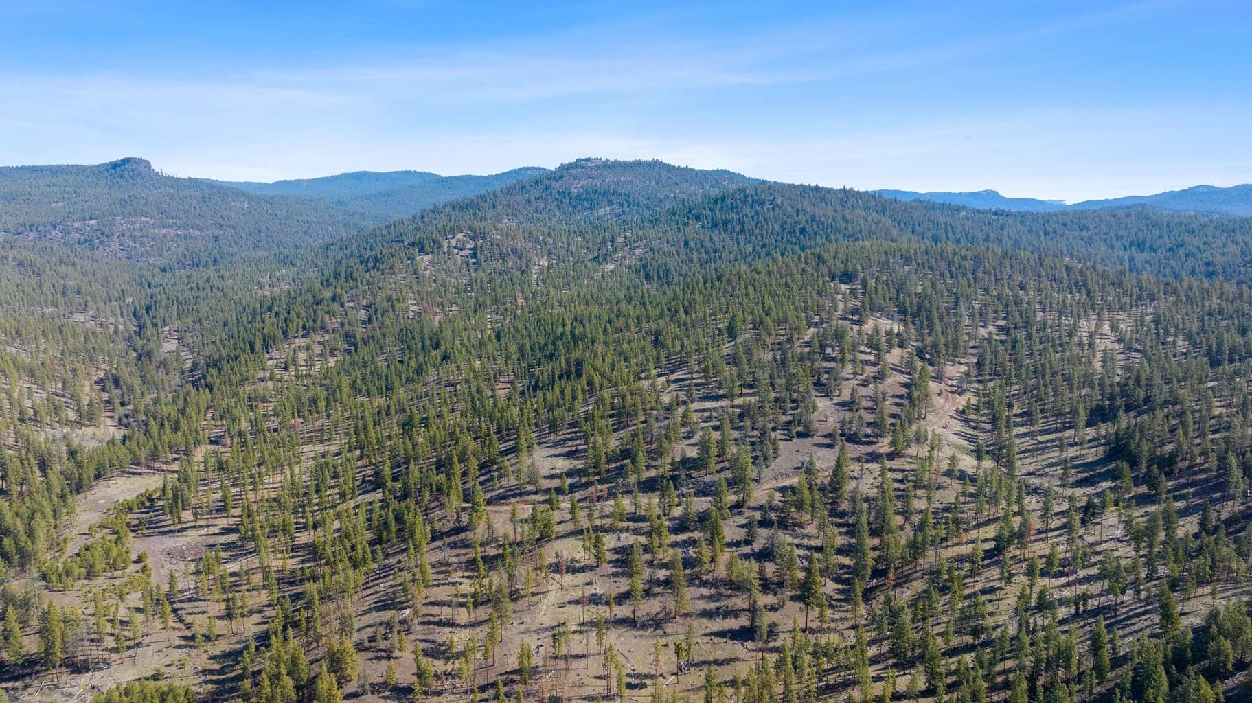 Photo of TBD Allen Creek Road 7 of 24